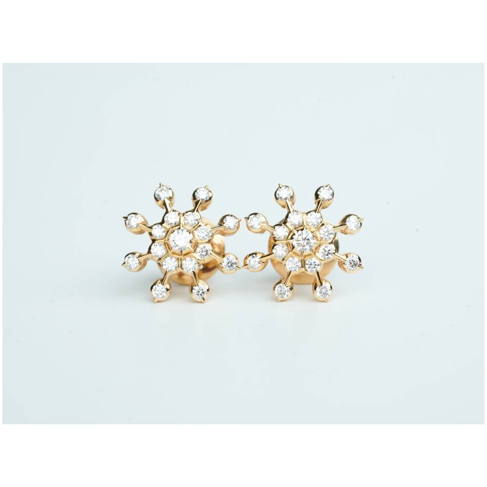 Crystal Frost Sparkle Earrings