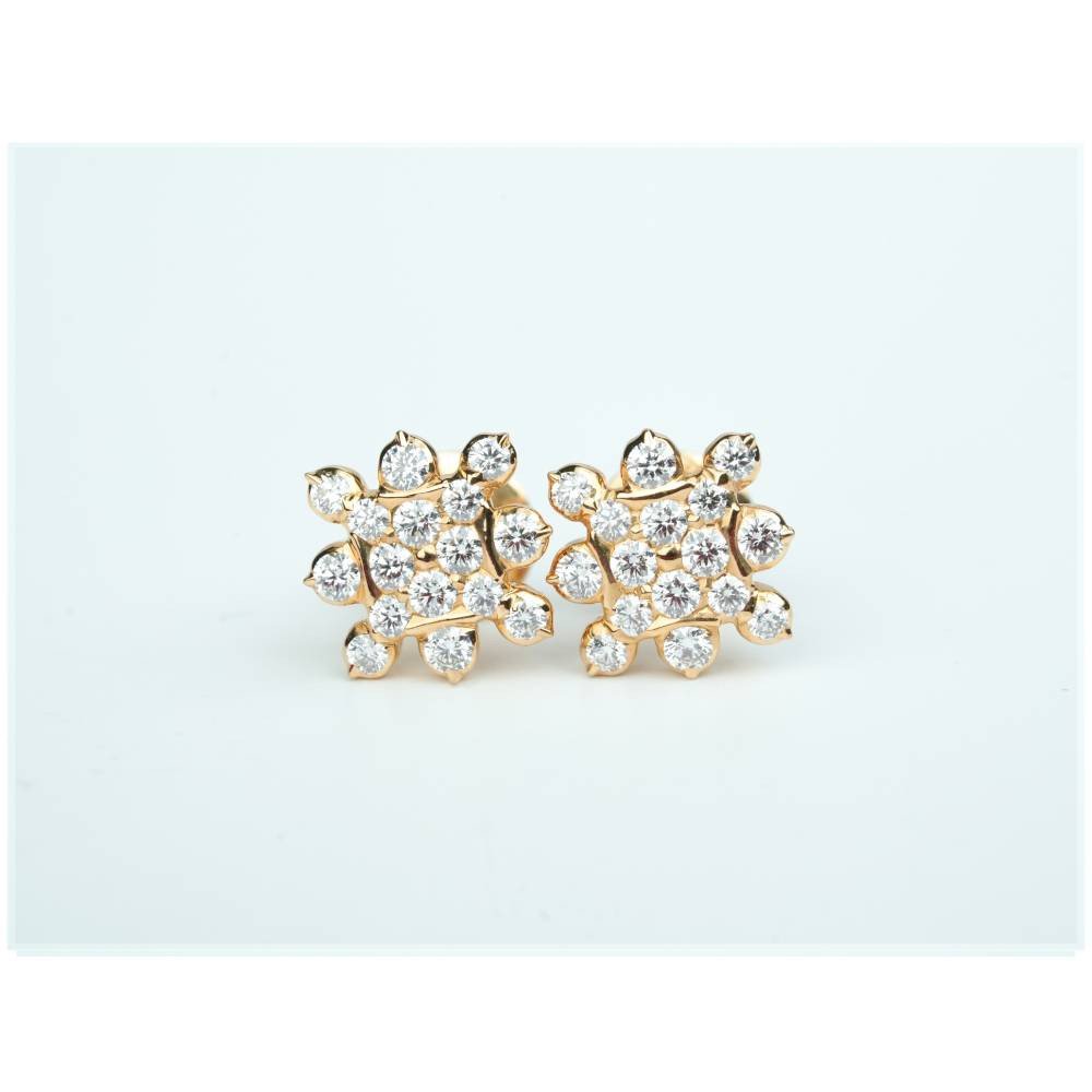 Luxe BlossomBurst Earrings