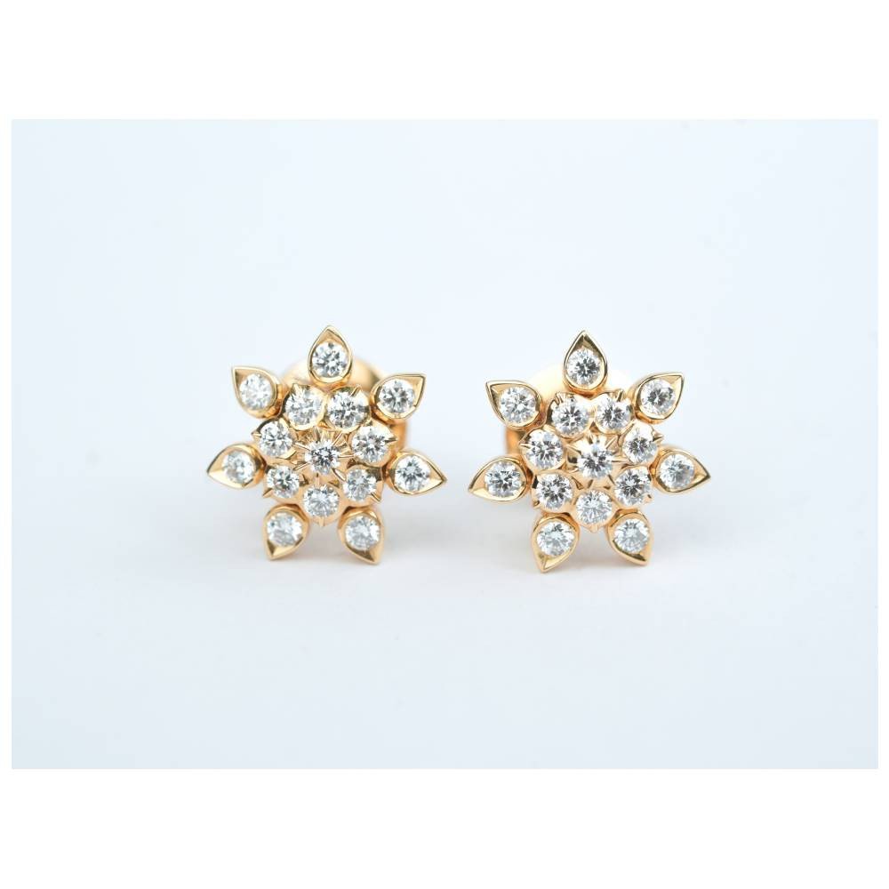 Floral CrownSpark Earrings