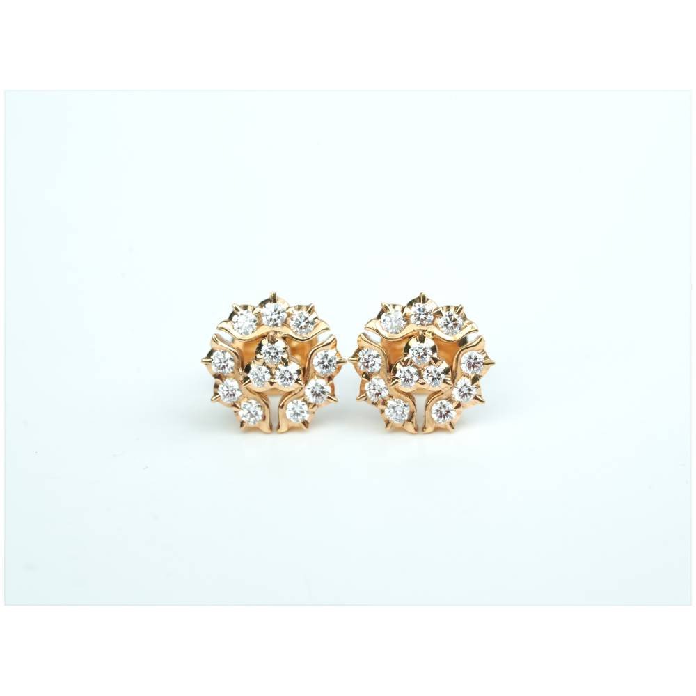 FloralCrown Radiance Earrings
